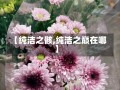 【纯洁之骸,纯洁之巅在哪】