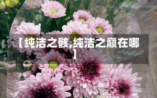 【纯洁之骸,纯洁之巅在哪】