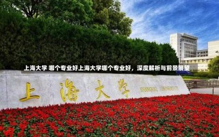 上海大学 哪个专业好上海大学哪个专业好，深度解析与前景展望