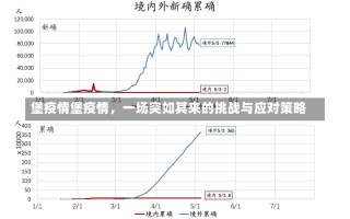 堡疫情堡疫情，一场突如其来的挑战与应对策略