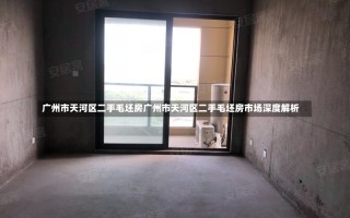 广州市天河区二手毛坯房广州市天河区二手毛坯房市场深度解析