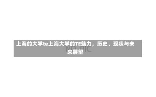 上海的大学te上海大学的TE魅力，历史、现状与未来展望