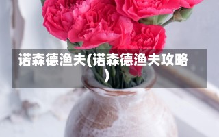 诺森德渔夫(诺森德渔夫攻略)