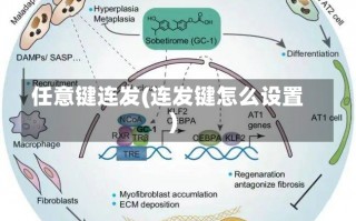 任意键连发(连发键怎么设置)