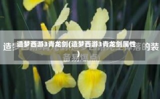 造梦西游3青龙剑(造梦西游3青龙剑属性)