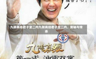 九阴真经君子堂二内九阴真经君子堂二内，奥秘与传承