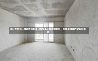 海口专业毛坯房验收机构海口专业毛坯房验收机构，毛坯房验收的全方位解析