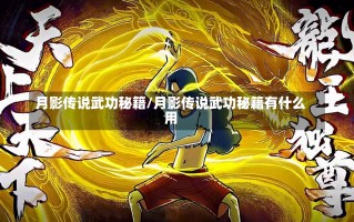 月影传说武功秘籍/月影传说武功秘籍有什么用