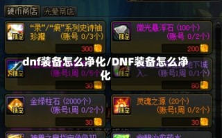 dnf装备怎么净化/DNF装备怎么净化