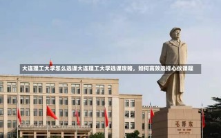 大连理工大学怎么选课大连理工大学选课攻略，如何高效选择心仪课程