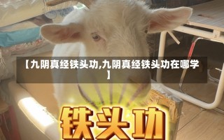 【九阴真经铁头功,九阴真经铁头功在哪学】