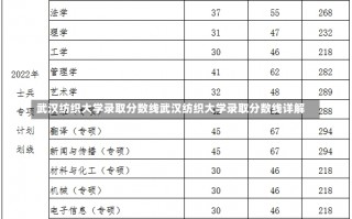 武汉纺织大学录取分数线武汉纺织大学录取分数线详解