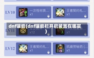 dnf镶嵌(dnf镶嵌栏开启装置在哪买)