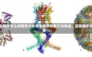 西农大化学生物学怎么样西农大化学生物学的魅力与挑战，深度解析其优势与发展