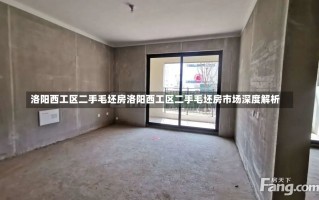 洛阳西工区二手毛坯房洛阳西工区二手毛坯房市场深度解析