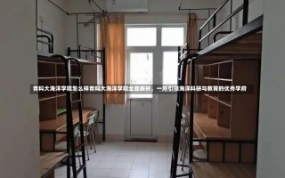 青科大海洋学院怎么样青科大海洋学院全面解析，一所引领海洋科研与教育的优秀学府