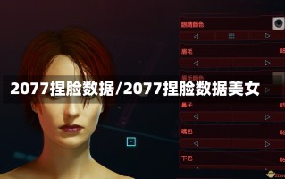 2077捏脸数据/2077捏脸数据美女