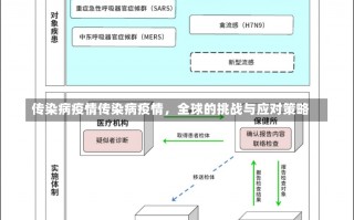 传染病疫情传染病疫情，全球的挑战与应对策略