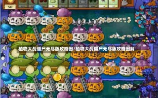 植物大战僵尸无尽版攻略图/植物大战僵尸无尽版攻略图解