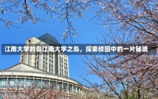 江南大学的岛江南大学之岛，探索校园中的一片秘境