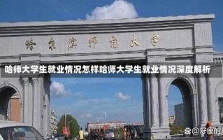 哈师大学生就业情况怎样哈师大学生就业情况深度解析