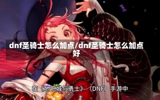 dnf圣骑士怎么加点/dnf圣骑士怎么加点好