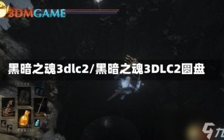 黑暗之魂3dlc2/黑暗之魂3DLC2圆盘