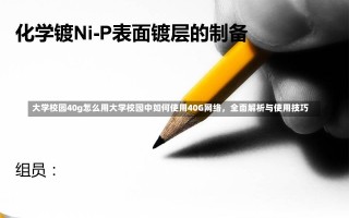 大学校园40g怎么用大学校园中如何使用40G网络，全面解析与使用技巧