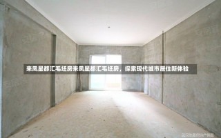 来凤星都汇毛坯房来凤星都汇毛坯房，探索现代城市居住新体验