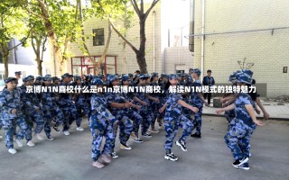 京博N1N商校什么是n1n京博N1N商校，解读N1N模式的独特魅力