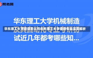 华东理工大学德语怎么样华东理工大学德语专业深度解析