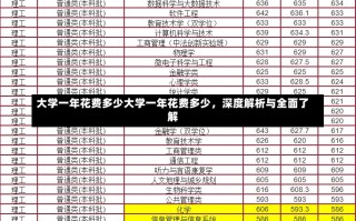 大学一年花费多少大学一年花费多少，深度解析与全面了解