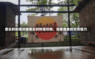 唐云的料理攻略唐云的料理攻略，探索美食的无穷魅力