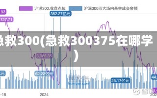 急救300(急救300375在哪学)