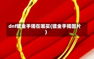 dnf镀金手镯在哪买(镀金手镯图片)