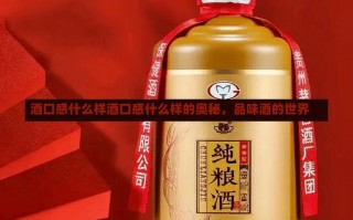 酒口感什么样酒口感什么样的奥秘，品味酒的世界