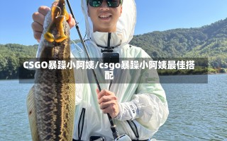 CSGO暴躁小阿姨/csgo暴躁小阿姨最佳搭配