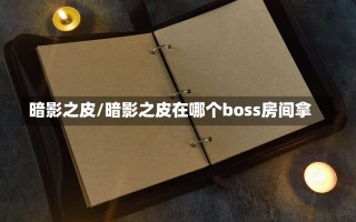 暗影之皮/暗影之皮在哪个boss房间拿