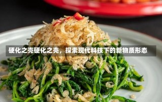 硬化之壳硬化之壳，探索现代科技下的新物质形态