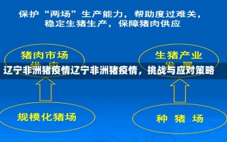 辽宁非洲猪疫情辽宁非洲猪疫情，挑战与应对策略