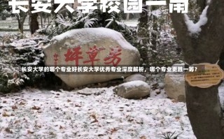 长安大学的哪个专业好长安大学优秀专业深度解析，哪个专业更胜一筹？