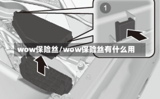 wow保险丝/wow保险丝有什么用