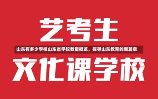 山东有多少学校山东省学校数量概览，探寻山东教育的新篇章