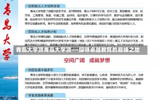 青岛大学顶青岛大学顶——探寻卓越教育的巅峰之地