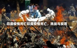 印度疫情死亡印度疫情死亡，挑战与反思