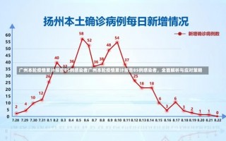 广州本轮疫情累计报告85例感染者广州本轮疫情累计报告85例感染者，全面解析与应对策略