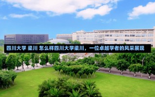 四川大学 梁川 怎么样四川大学梁川，一位卓越学者的风采展现