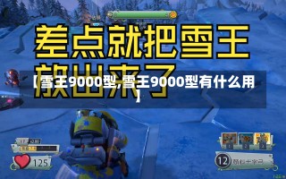 【雪王9000型,雪王9000型有什么用】