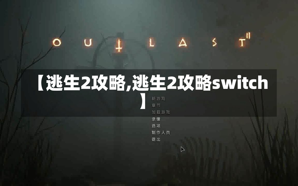 【逃生2攻略,逃生2攻略switch】-第1张图片-通任唐游戏