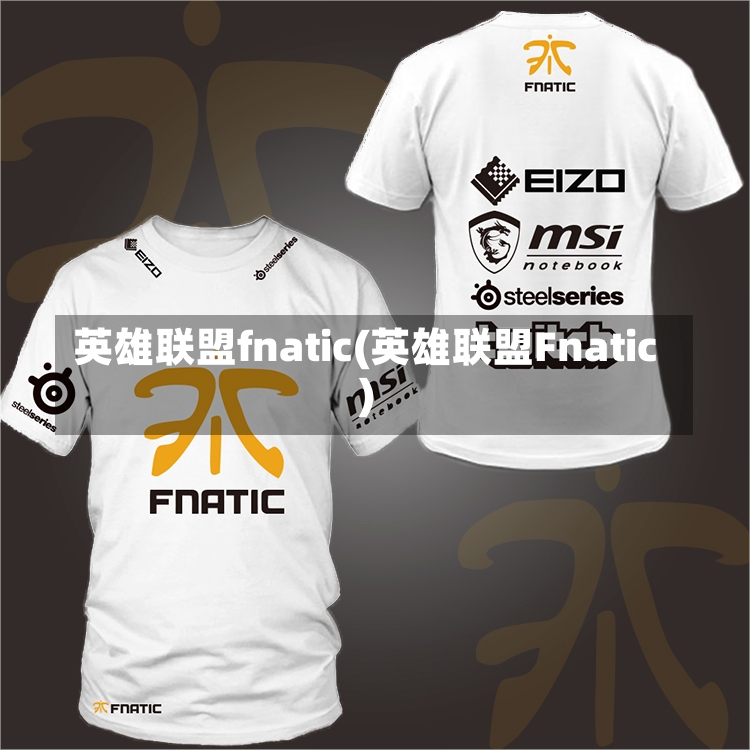 英雄联盟fnatic(英雄联盟Fnatic)-第2张图片-通任唐游戏